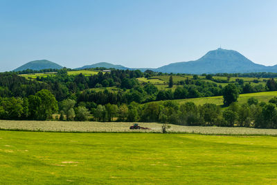 Scenic view of field against clear sky