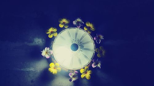 Directly below shot of illuminated purple flowering plant against blue sky