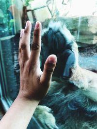Midsection of person touching finger