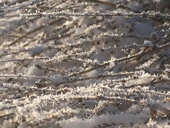 Full frame shot of pattern