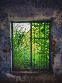 Abandoned building seen through window