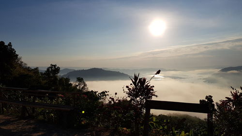 Silhouette of birds on landscape against sunset sky