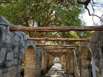 Wooden bridge