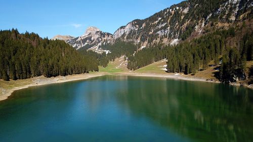 Scenic view of lake by trees against sky