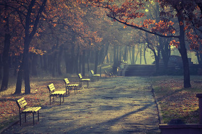 Empty bench and table in park during autumn
