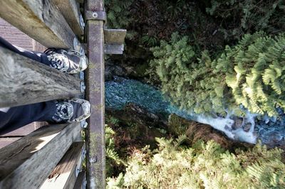 Low section of man standing on wood