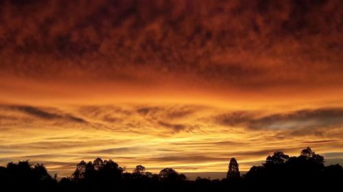 Low angle view of silhouette trees against dramatic sky