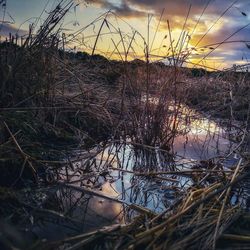 Scenic view of lake against sky during sunset