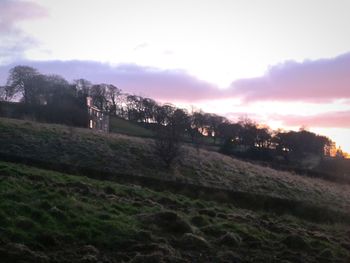 Scenic view of field against sky during sunset