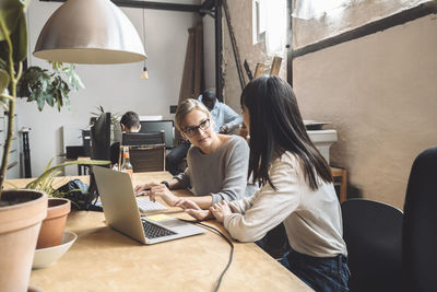 People working on table