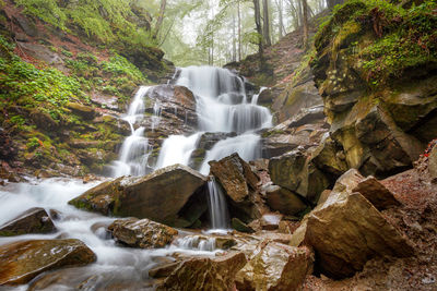 Rapid flow of mountain river water cascades and whitish threads makes its way through the  forest