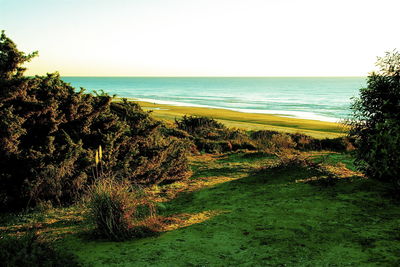 Scenic view of sea against clear sky