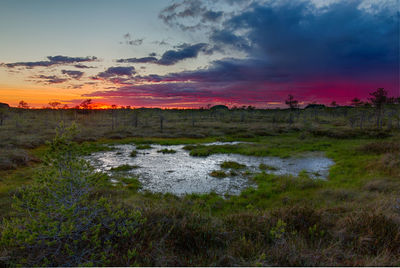 Scenic view of field against sky during sunset