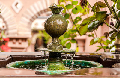 Close-up of fountain