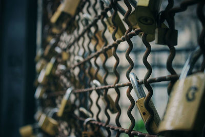 Close-up of padlock on metal fence