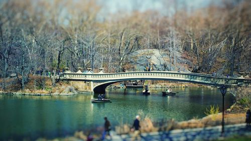 Arch bridge over river against trees