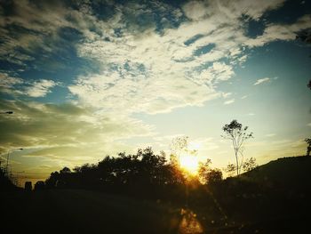 Silhouette of trees at sunset