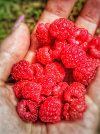 Close-up of hand holding strawberries