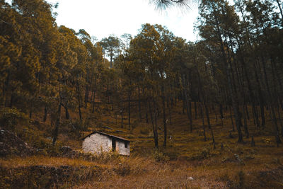 Scenic view of trees and houses in forest against sky