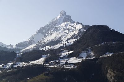 Snowcapped mountain peak with trees against sky