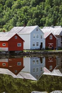 Houses by trees and buildings in lærdal city