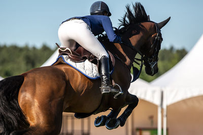 Man riding horse