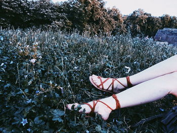 Low section of woman relaxing on grassy field