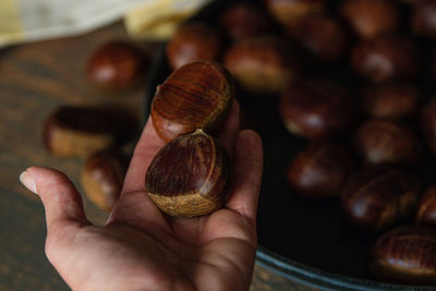 Cropped hand holding chestnuts