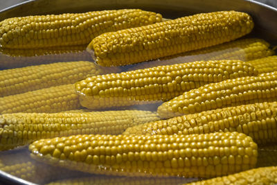 Process of cooking fresh mature corn. sale of freshly boiled hot corn at fair. close-up.