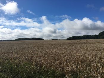 Scenic view of field against cloudy sky