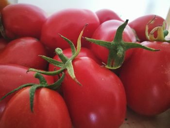 Close-up of tomatoes