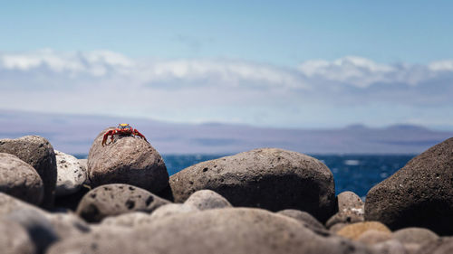 Rocks in sea against sky