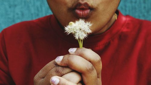 Midsection of teenage girl blowing dandelion seed