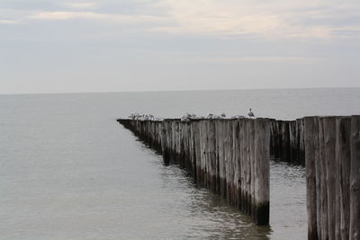 Wooden posts in sea against sky