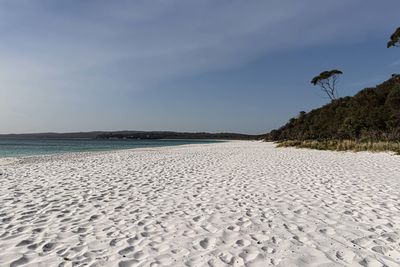 Scenic view of beach against sky