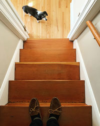 Low section of man standing on staircase