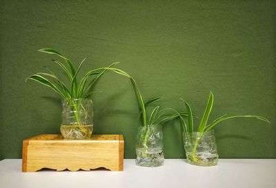 Close-up of glass vase on table
