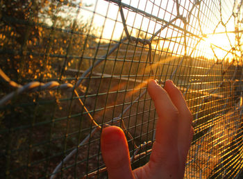 Hand holding metal fence against orange sky