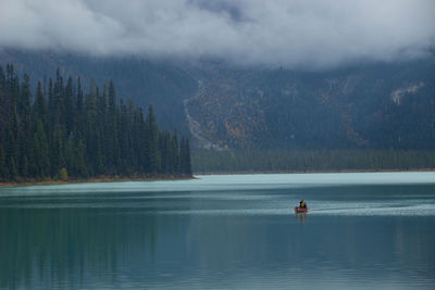 Rear view of woman standing in lake