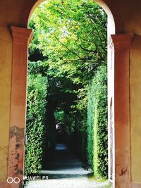 Trees and entrance of building