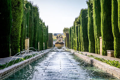 Walkway amidst trees against sky