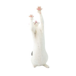 Low angle view of a bird against white background