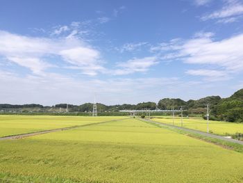 Scenic view of field against sky