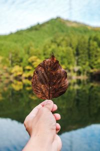 Close-up of hand holding autumn leaf