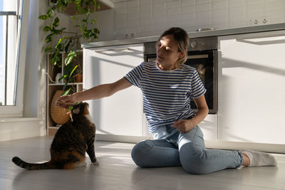 Closeup of casual single woman hand combing tabby cat sits on parquet floor in bright apartment