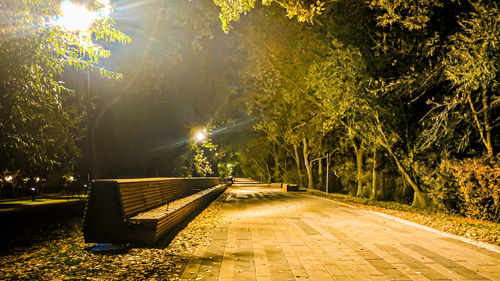 Empty footpath amidst trees in park