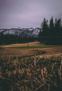 Scenic view of field against sky