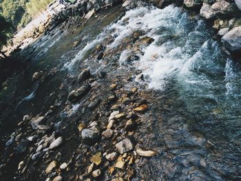 Scenic view of waterfall