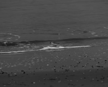 People swimming in sea