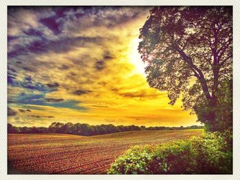 Scenic view of field against cloudy sky